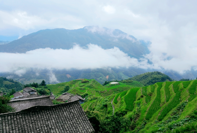 桂林龙脊梯田旅游攻略(图文)(黄姚古镇旅游攻略龙脊梯田)图4