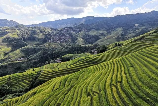 桂林龙脊梯田旅游攻略(图文)(黄姚古镇旅游攻略龙脊梯田)图12