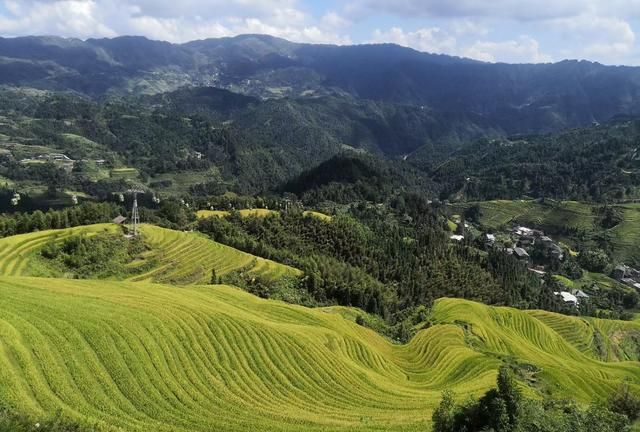 桂林龙脊梯田旅游攻略(图文)(黄姚古镇旅游攻略龙脊梯田)图13