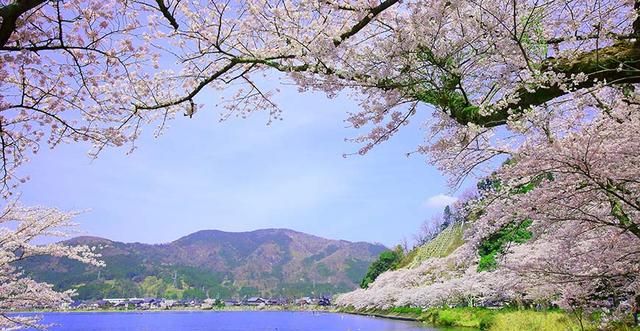 郎茂山风景区旅游攻略(中国最受好评的十大旅游景点)图3