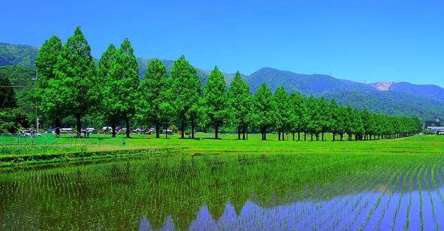 郎茂山风景区旅游攻略(中国最受好评的十大旅游景点)图7