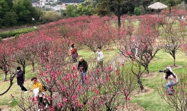 广州番禺市桥莲花山旅游攻略图5