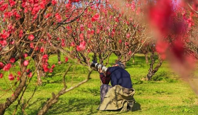 广州番禺市桥莲花山旅游攻略图13