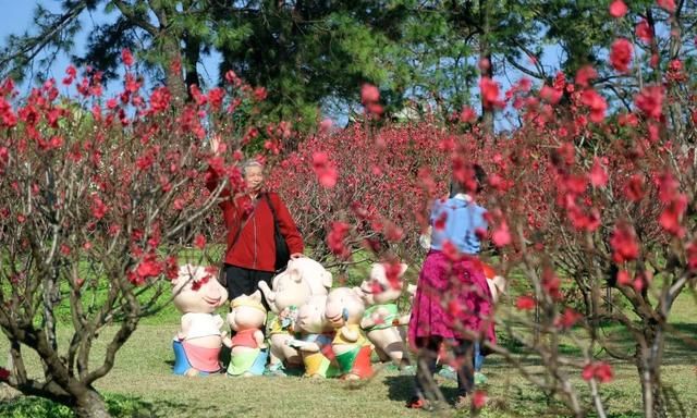 广州番禺市桥莲花山旅游攻略图14