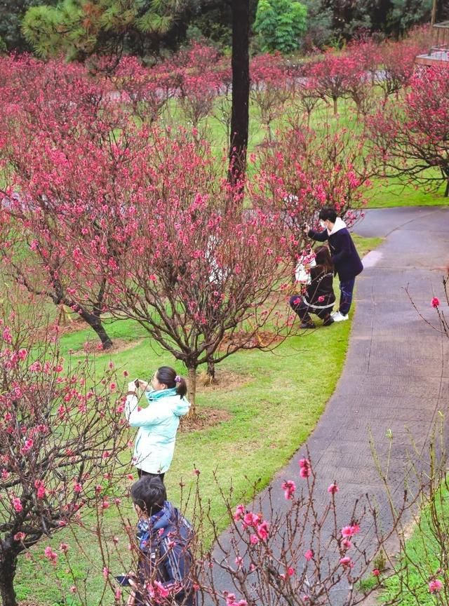 广州番禺市桥莲花山旅游攻略图17