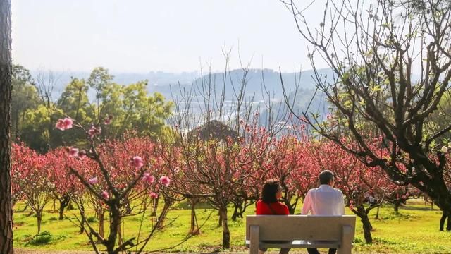 广州番禺市桥莲花山旅游攻略图18