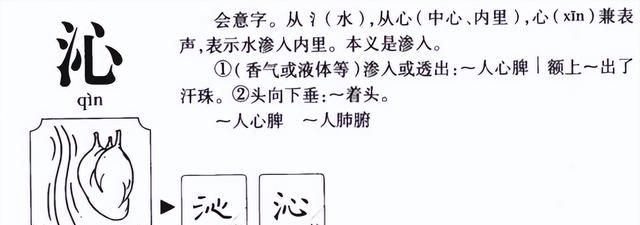 沁人心脾怎么读音是什么意思,沁人心脾中的气和脾的读音是什么图2