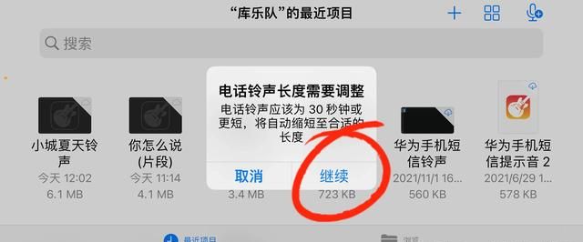 苹果手机要换铃声怎么办(苹果12 pro max怎么自定义铃声)图9