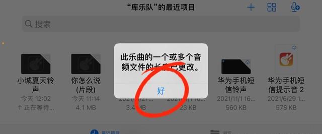 苹果手机要换铃声怎么办(苹果12 pro max怎么自定义铃声)图11