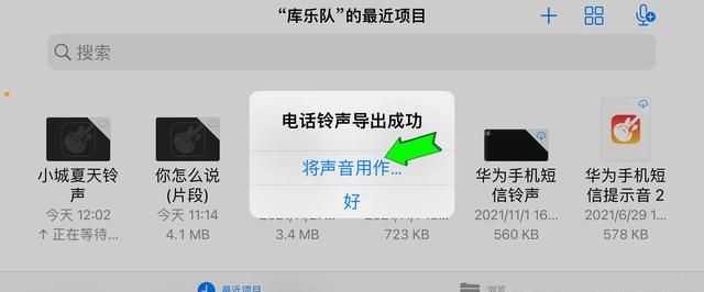 苹果手机要换铃声怎么办(苹果12 pro max怎么自定义铃声)图13