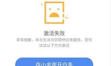 京东白条激活不了有哪些原因,京东白条申请激活不了怎么办图1