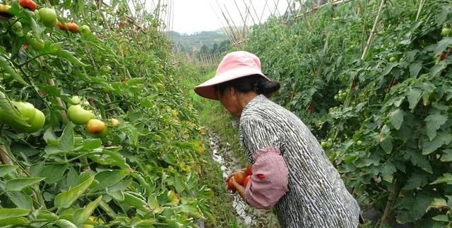 侯卫东官场笔记写到哪里结束的,侯卫东官场笔记10完整版免费听书图33