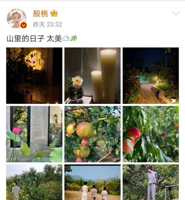 殷桃婚姻近况如何,殷桃如今几岁图5