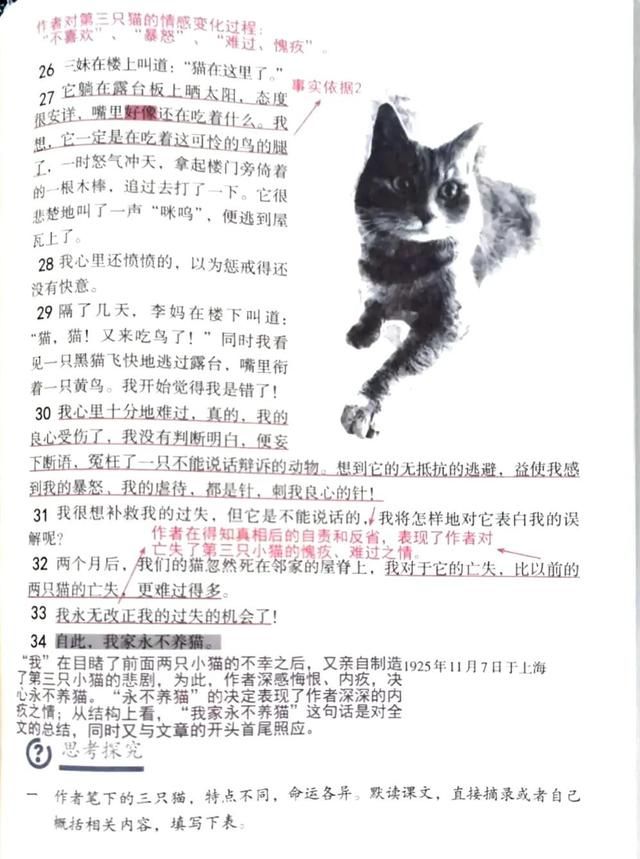 七年级上册语文《猫》课堂笔记图6