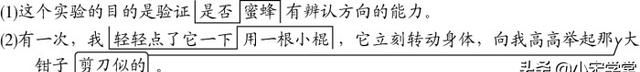 完结版：2022三语下期末总复习核心考点单元梳理总结，纯文字版图1