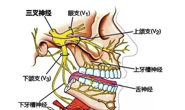 潘伟斌 王仲杰：曹操之死解密图5