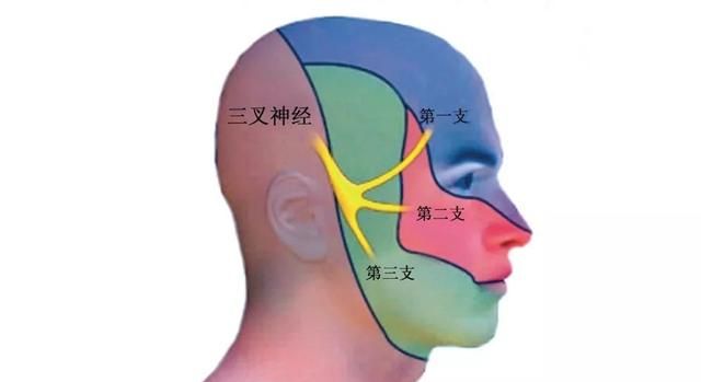 潘伟斌 王仲杰：曹操之死解密图6