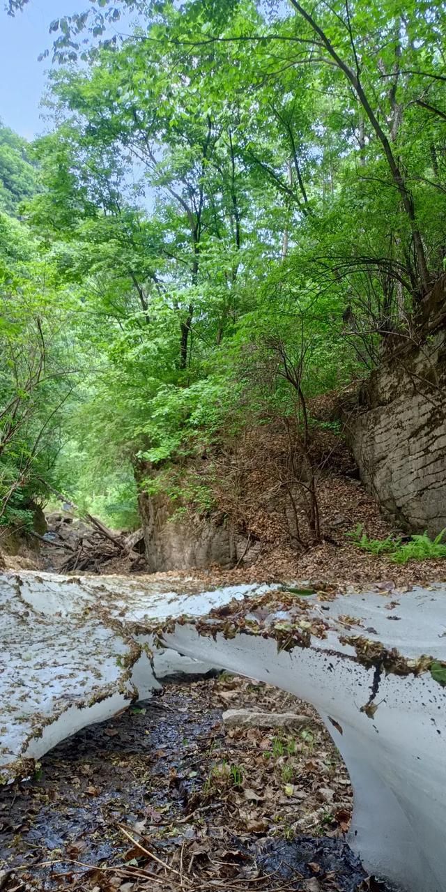 北京喇叭沟原始森林公园天气,怀柔喇叭沟原始森林一日游图5