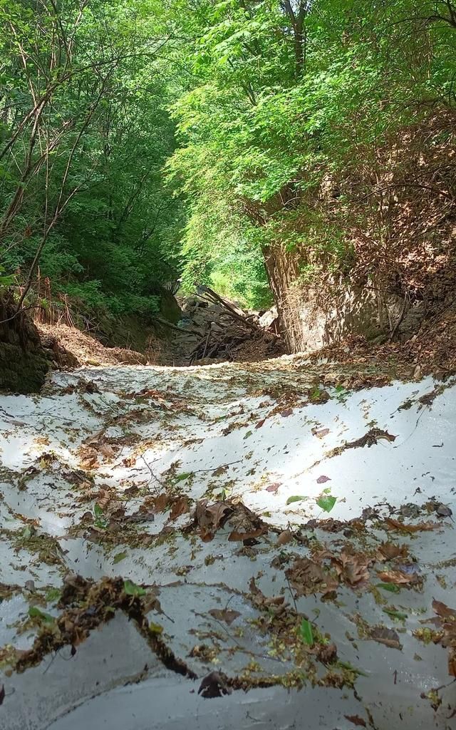 北京喇叭沟原始森林公园天气,怀柔喇叭沟原始森林一日游图8