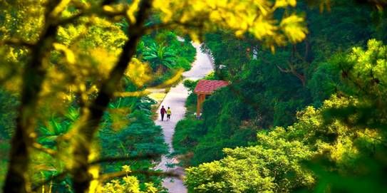 中山贴近大自然的好去处,中山国庆打卡好去处图28