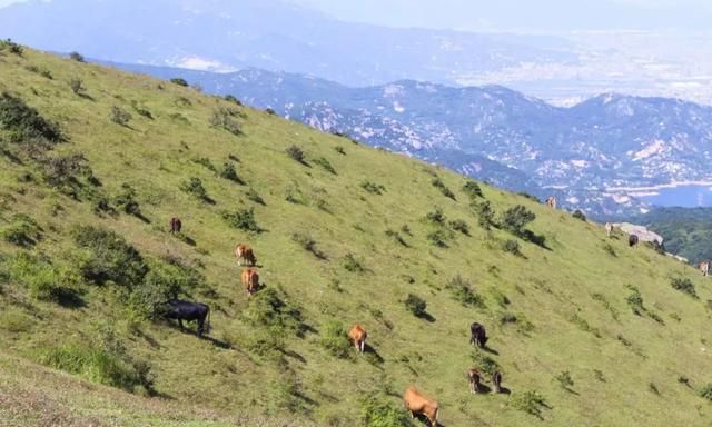 福清大姆山草场游玩攻略图10