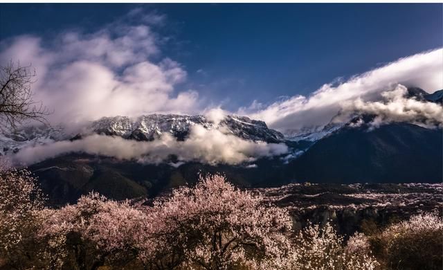 西藏十大必去景点不去后悔一生(西藏必须去的十大景点)图1