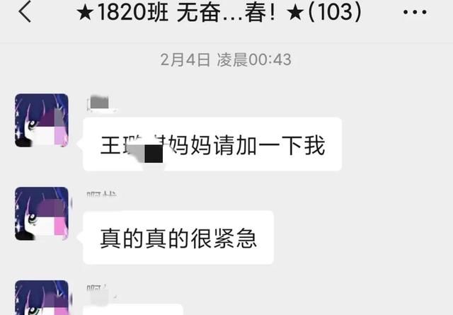 精心养护的花如期绽放图1