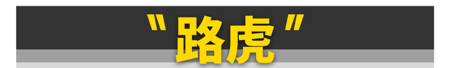 50万预算买这11台车最有面子图37