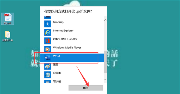 在电脑上pdf文件怎么打开图4