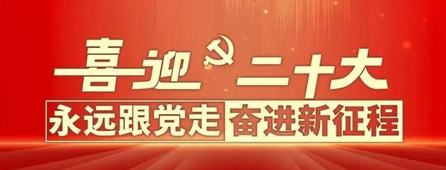 少先队标志标识规范附队徽高清图图2