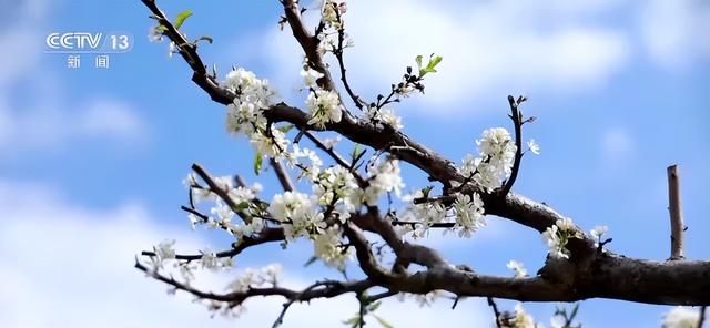 好雨知时节当春乃发生天气还是气候图3