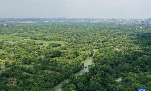 探访杭州西溪湿地体验生态之旅,杭州五常湿地和西溪湿地图1