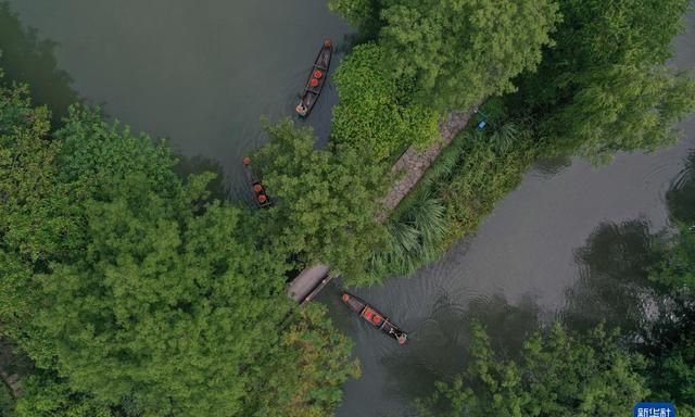 探访杭州西溪湿地体验生态之旅,杭州五常湿地和西溪湿地图2