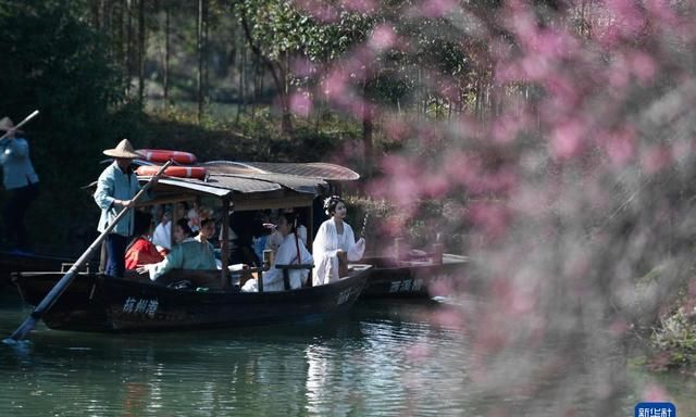 探访杭州西溪湿地体验生态之旅,杭州五常湿地和西溪湿地图6