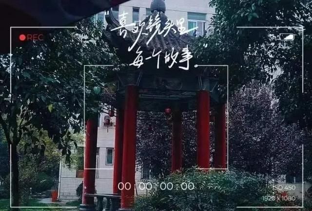 绿色校园你我先行图11