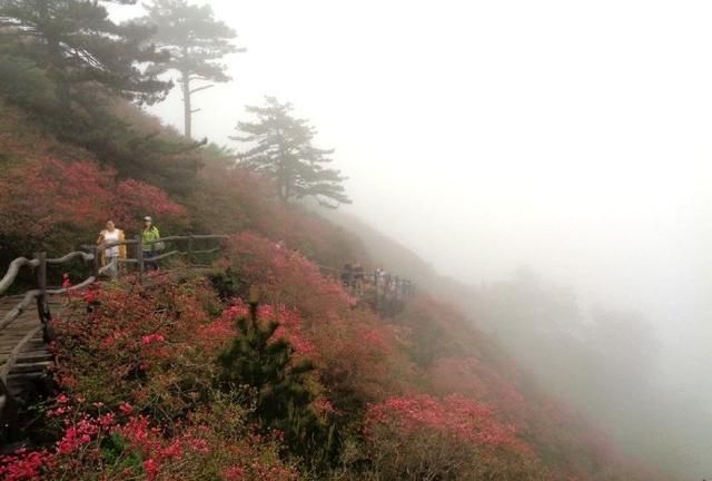 一去二三里,烟村四五家.这是哪首古诗?图14