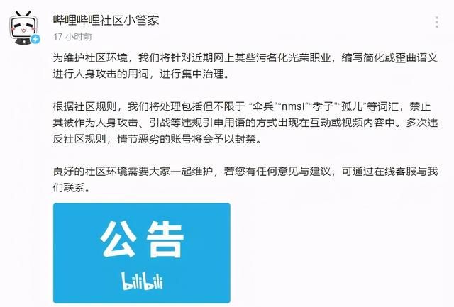 新华社批评网络用语(外来音译词与谐音文化)图6