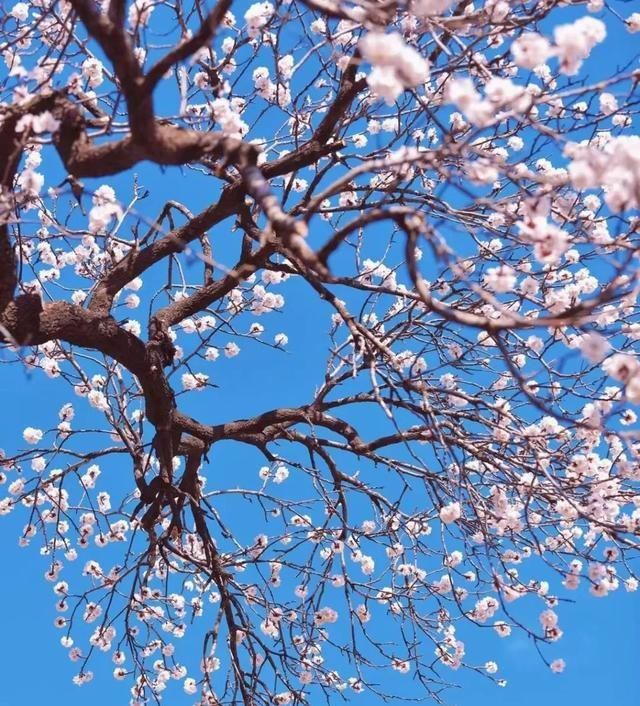 沂水旅游景点大全排名 一日游(沂水旅游景点盘点)图24