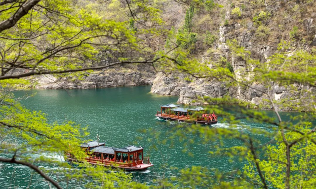 青龙峡花海(青龙峡连翘花海)图8