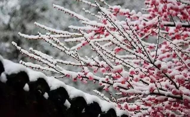 带有雪字的唯美古诗词精选,关于雪的唯美古诗句大全图3