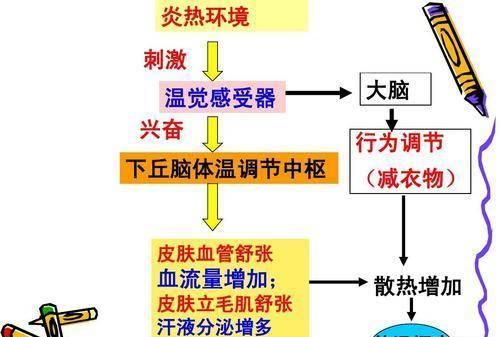 100的水和100的食用油哪个更烫手些图2