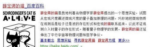 薛定谔的猫是什么意思比喻什么(寻找薛定谔的猫和薛定谔的小猫)图1