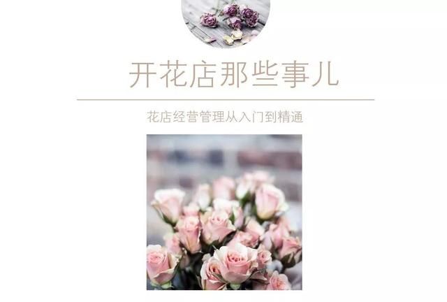 玫瑰花语朵数大全(玫瑰花语大全33朵)图2