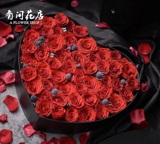 玫瑰花语朵数大全(玫瑰花语大全33朵)图43