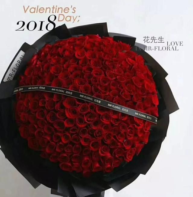 玫瑰花语朵数大全(玫瑰花语大全33朵)图56