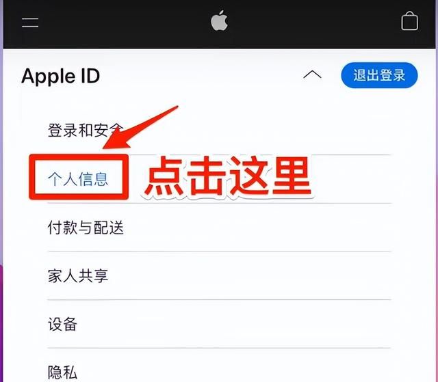 美区apple id注册教程(iphone12appleid怎么注册)图5