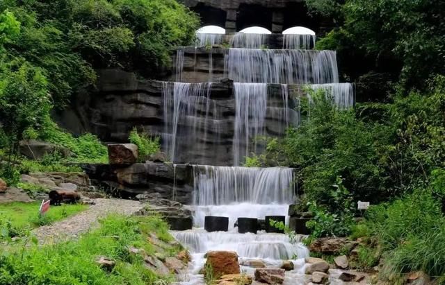 济南有哪些好玩的花海景区,打卡济南精心打造11处花海景观图4