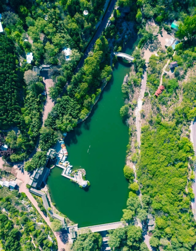 济南有哪些好玩的花海景区,打卡济南精心打造11处花海景观图6