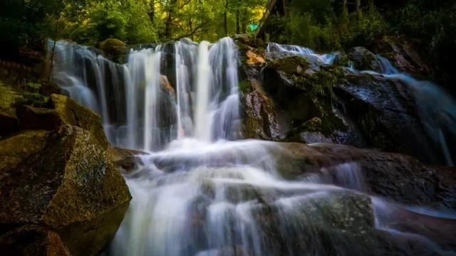 济南有哪些好玩的花海景区,打卡济南精心打造11处花海景观图10