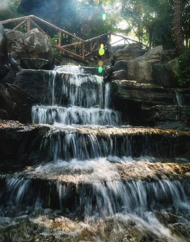 济南有哪些好玩的花海景区,打卡济南精心打造11处花海景观图13